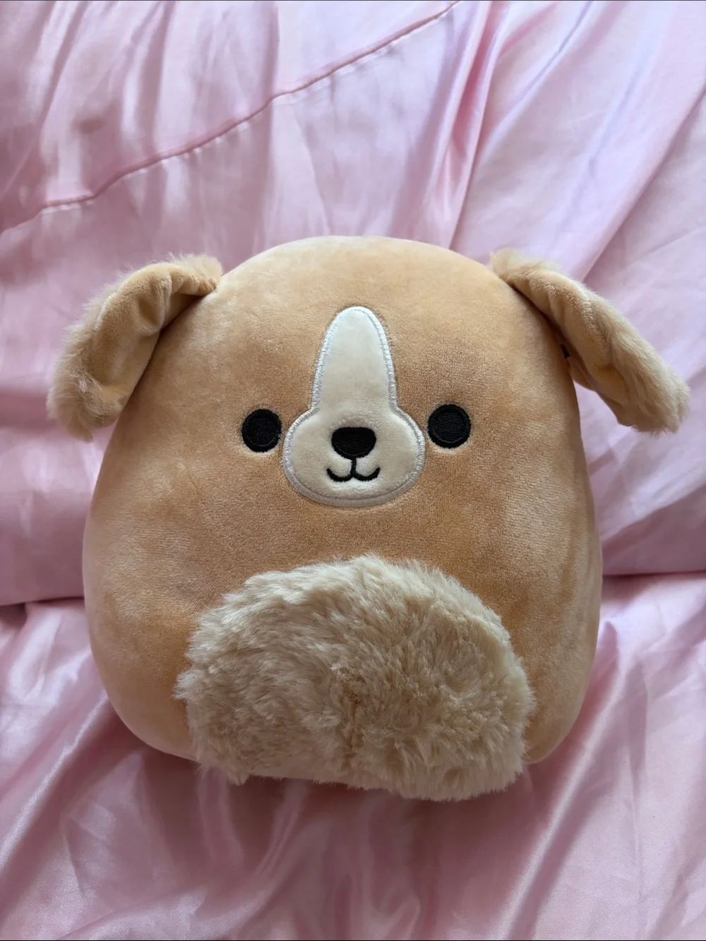 Stevon Fluffy Puppy Squishmallow